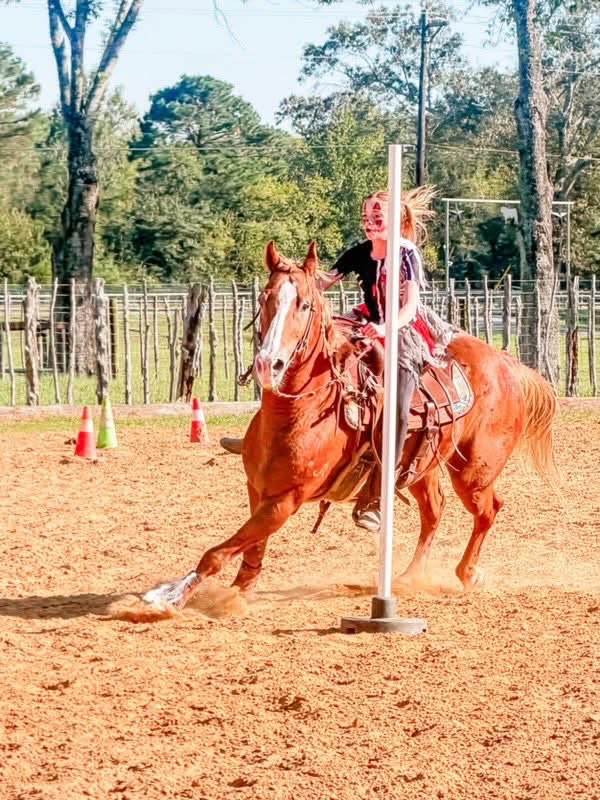 Rider running a pole bending pattern